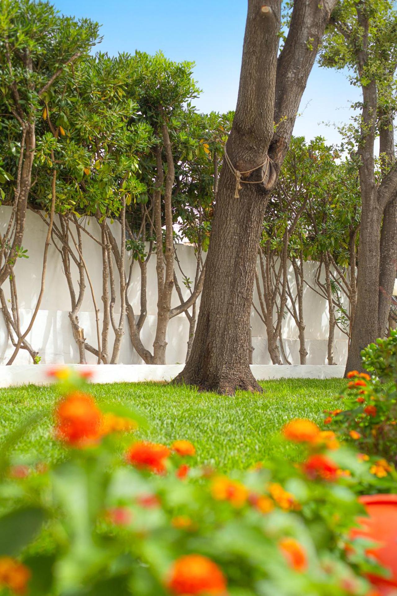Casa Masini San Teodoro Apartment Monte Petrosu Exterior photo